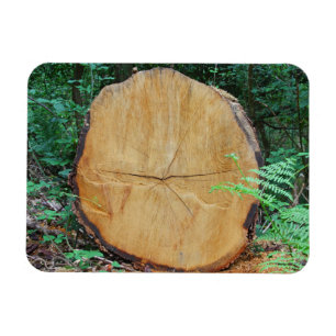 Magnet Flexible Sawn log in a forest