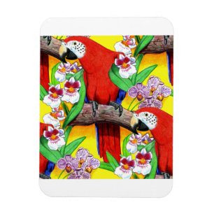 Magnet Flexible Scarlet McCaw
