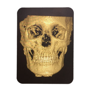 Magnet Flexible Scary Skull