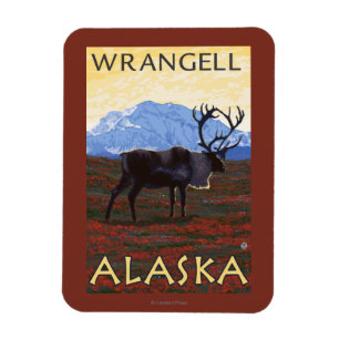 Magnet Flexible Scène Caribou - Wrangell, Alaska