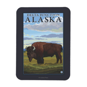 Magnet Flexible Scène de bison - jonction de delta, Alaska