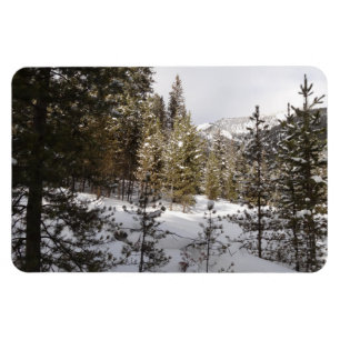 Magnet Flexible Scene hivernale de montagne neige au Montana