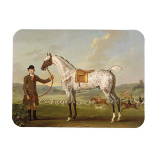 Magnet Flexible Scipio, Hunter de Spotted, c.1750 (oi de colonel