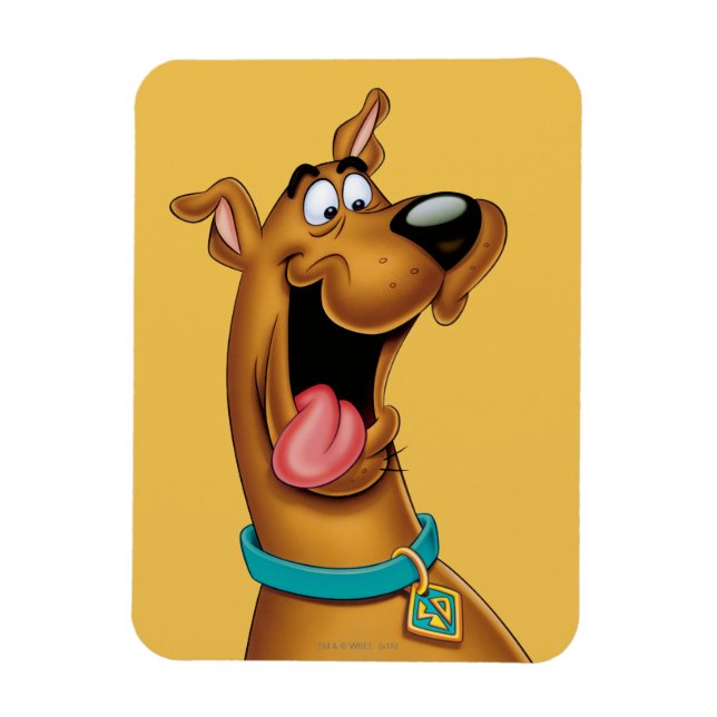 Magnet Flexible Scooby Doo Visage Excité (Vertical)