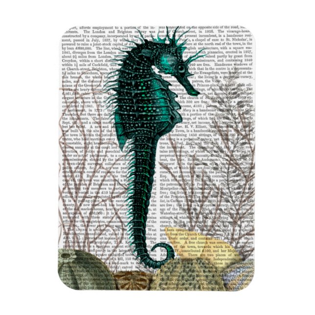 Magnet Flexible SeaHorse et SeaUrchins (Vertical)