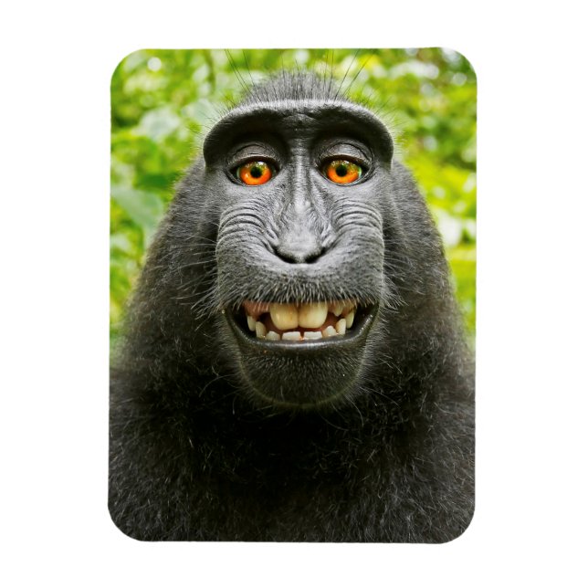 Magnet Flexible Selfie singe (Vertical)
