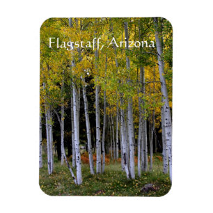 Magnet Flexible Serenity in Gold and Green Aspen's Flagstaff