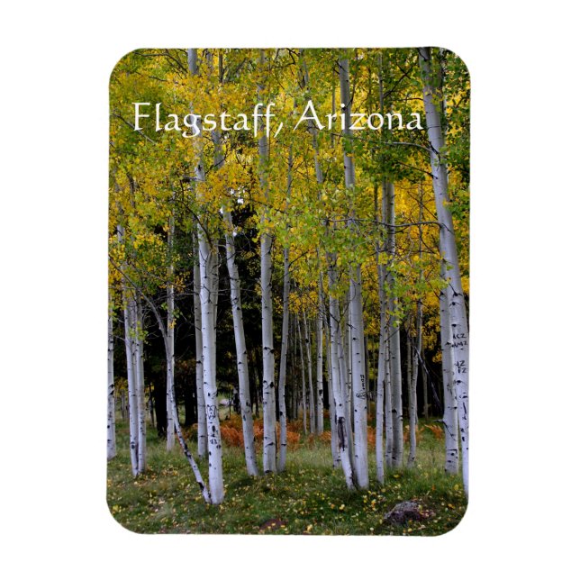 Magnet Flexible Serenity in Gold and Green Aspen's Flagstaff (Vertical)