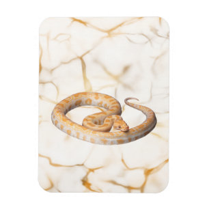 Magnet Flexible serpent marbre