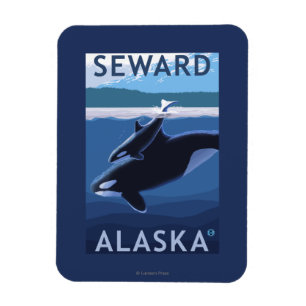 Magnet Flexible Seward, AlaskaOrca et scène de veau