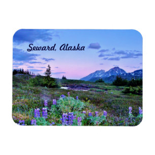 Magnet Flexible Seward, voyage d'aimant de l'Alaska
