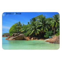 Seychelles - plage de sable avec palmiers sur l'îl