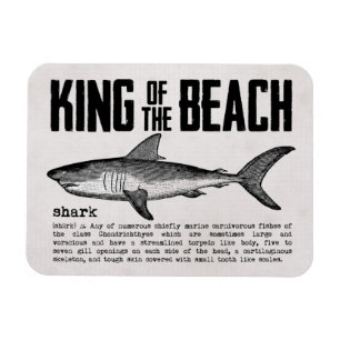 Magnet Flexible Shark vintage et Definition Beach King