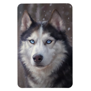 Magnet Flexible Sibérien Husky