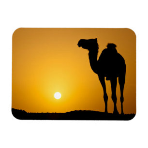 Magnet Flexible Silhouette d'un chameau sauvage au coucher du