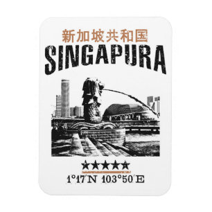 Magnet Flexible Singapour