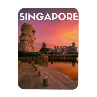 Magnet Flexible Singapour