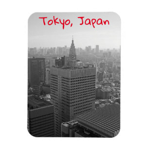 Magnet Flexible Skyline de Tokyo