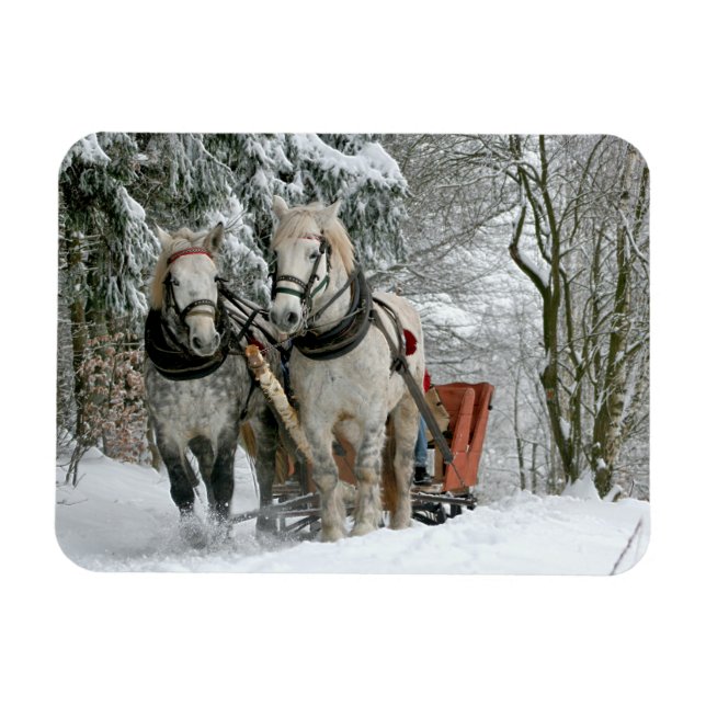 Magnet Flexible Sleigh Ride in Winter Wonderland (Horizontal)