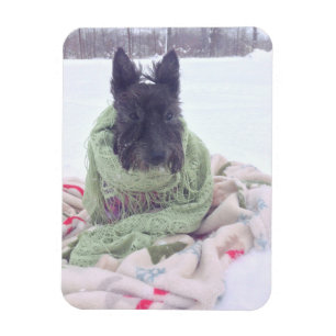 Magnet Flexible Snow Scottie
