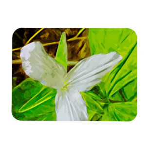 Magnet Flexible Snow Trillium un Fleur sauvage blanc Abstrait