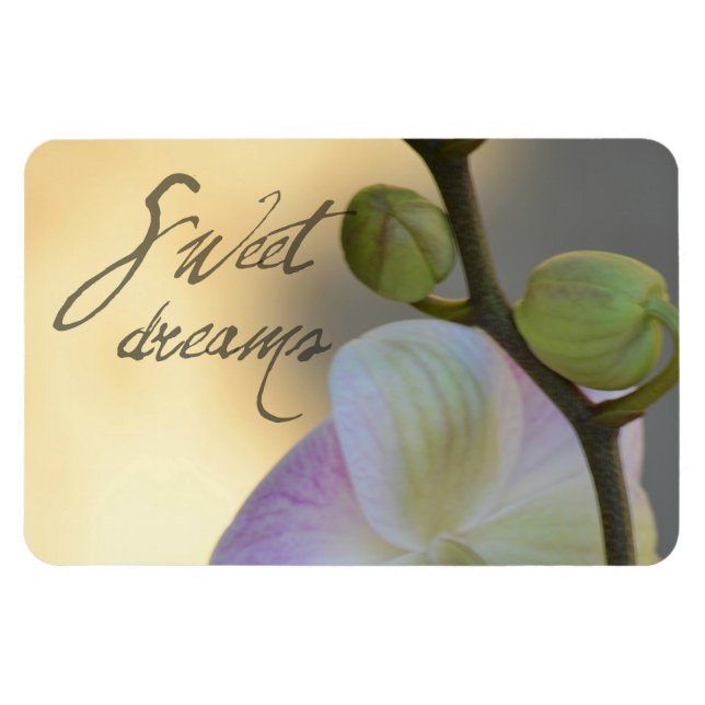 Magnet Flexible Sogni D'oro (doux rêves) Orchidée (Horizontal)