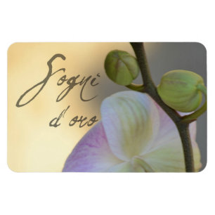 Magnet Flexible Sogni D'oro (doux rêves) Orchidée