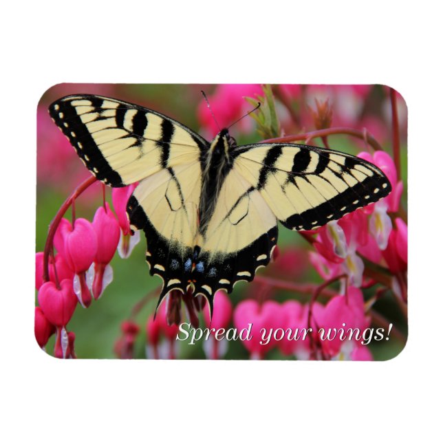 Magnet Flexible Soudain oriental 2 (Horizontal)