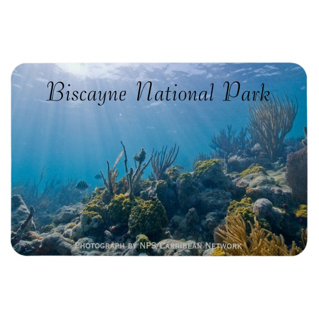 Magnet Flexible Sous-marin, Biscayne National Park (Horizontal)