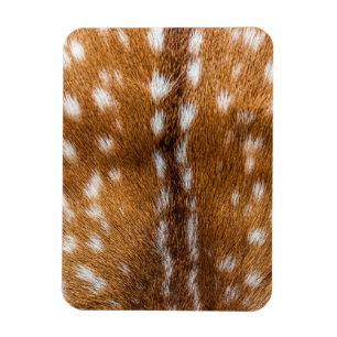 Magnet Flexible Spotted deer pour texture