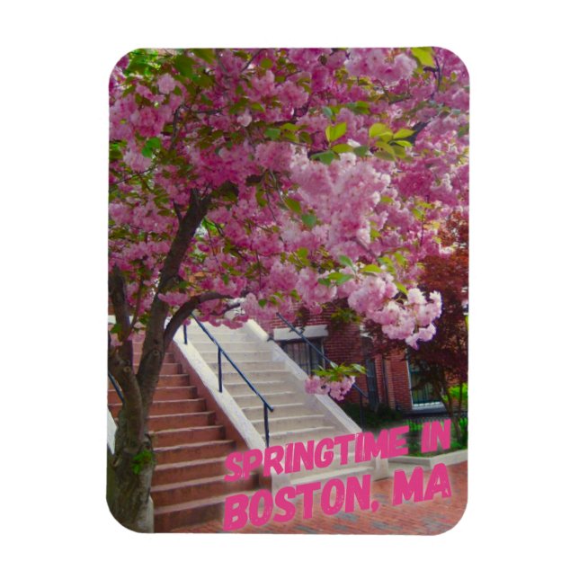 Magnet Flexible Springtime à Boston, MA (Vertical)