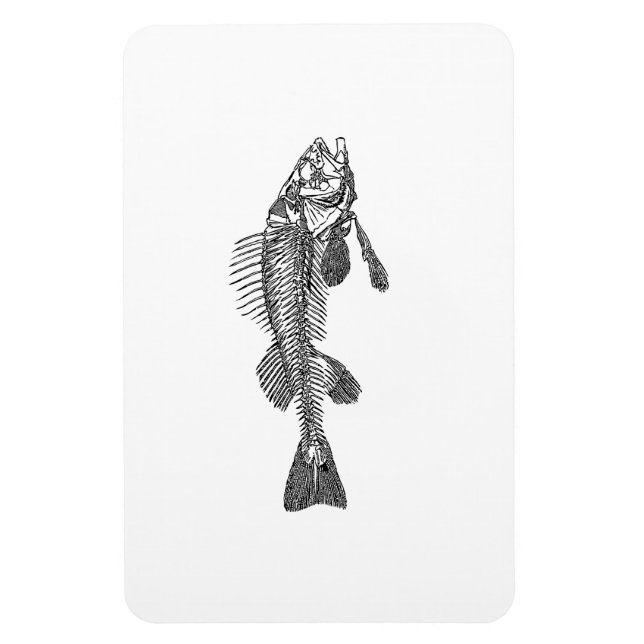 Magnet Flexible Squelette de poisson (Vertical)