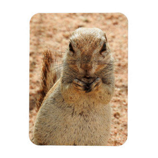 Magnet Flexible Squerrl having breakfast