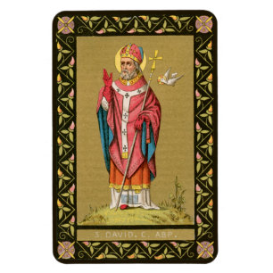 Magnet Flexible St. David du Pays de Galles (P 001)