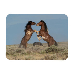 Magnet Flexible Stallions de Cheval Sauvage combattant