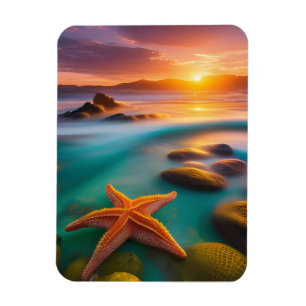 Magnet Flexible Starfish sur la plage à Dawn