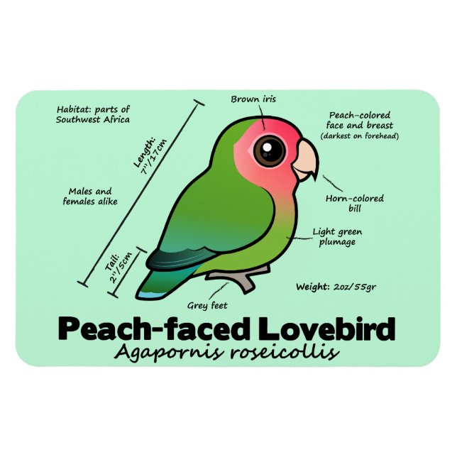 Magnet Flexible Statistiques de lovebird à tête brune (Horizontal)