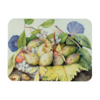 Still life with Plums, Walnuts et Jasmine (w/c on