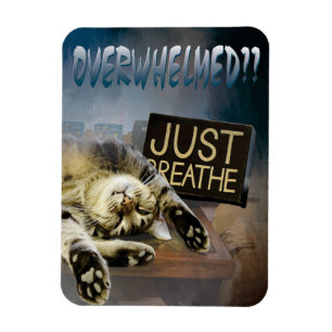 Magnet Flexible submergé ...respire juste l'aimant 23