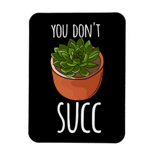 Magnet Flexible Succulents