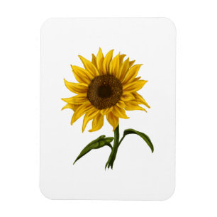 Magnet Flexible Sunflower Sunshine Floral Aquarelle Fleur