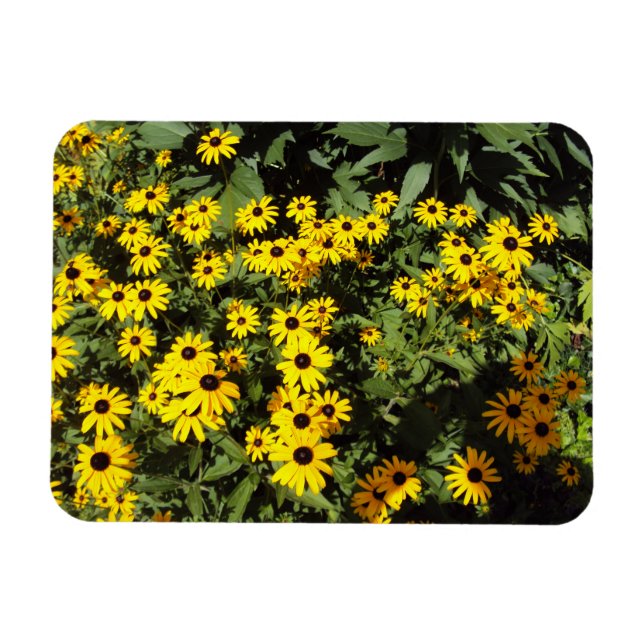 Magnet Flexible Sunlit Meadow (Horizontal)