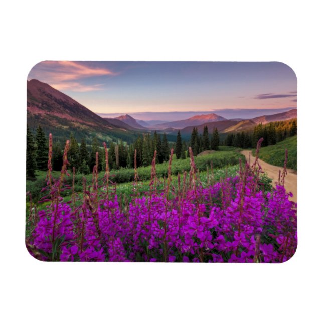 Magnet Flexible Sunrise fleur sauvage | Butte de crête, Colorado (Horizontal)