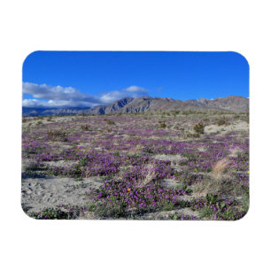 Magnet Flexible Super Bloom du désert 2019 Borrego Springs CA