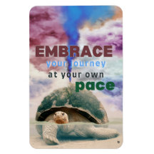 Surreal art Inspiration Turtle citation