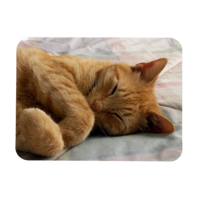 Magnet Flexible Sweet Dreams (Horizontal)