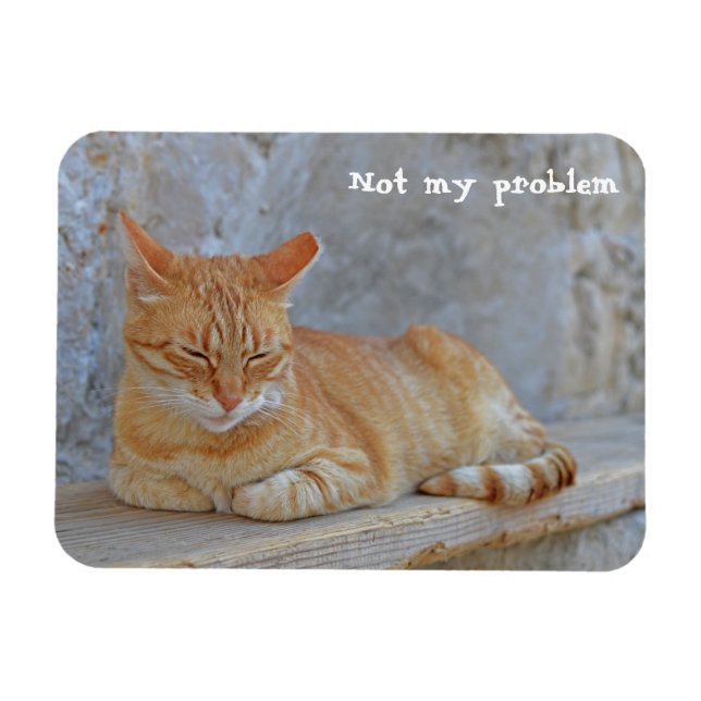 Magnet Flexible Tabby chat reposant à Dubrovnik Pas mon problème ! (Horizontal)