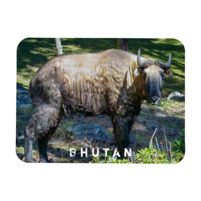 Magnet Flexible Takin, animal national du Bhoutan - Himalaya, Asie (Horizontal)