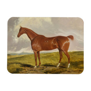 Magnet Flexible Talisman, vers 1840