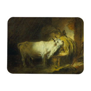 Magnet Flexible Taureau blanc dans le stable (huile sur la toile)